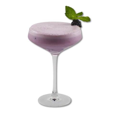 Wild Blackberry Flip