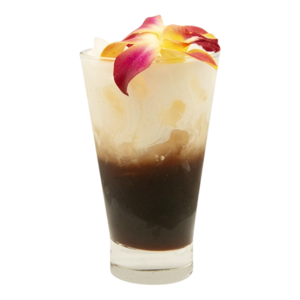 Sparkling Hibiscus Cold Brew