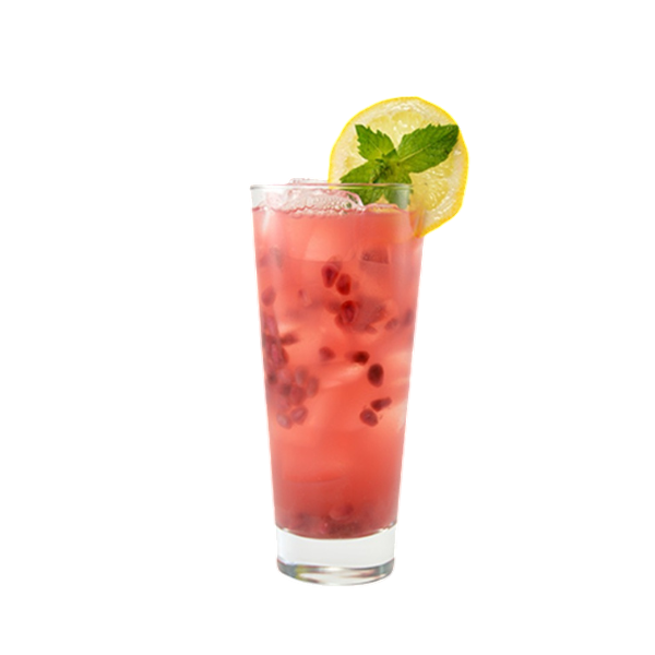 Limonade aux pommes et aux pépins