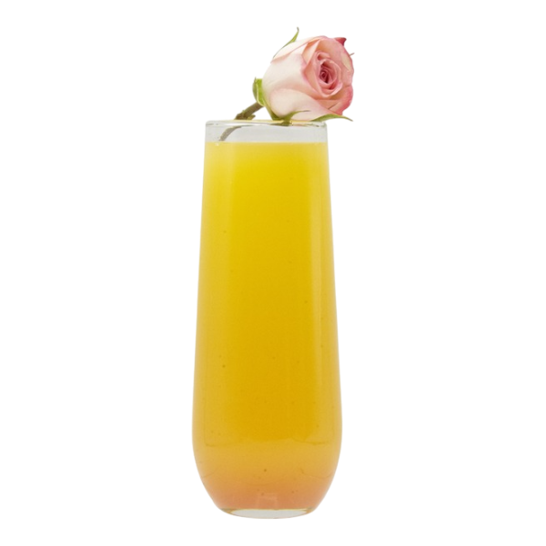 Lever de soleil dans le jardin