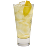 Zero Sugar Caramel & Ginger Soda