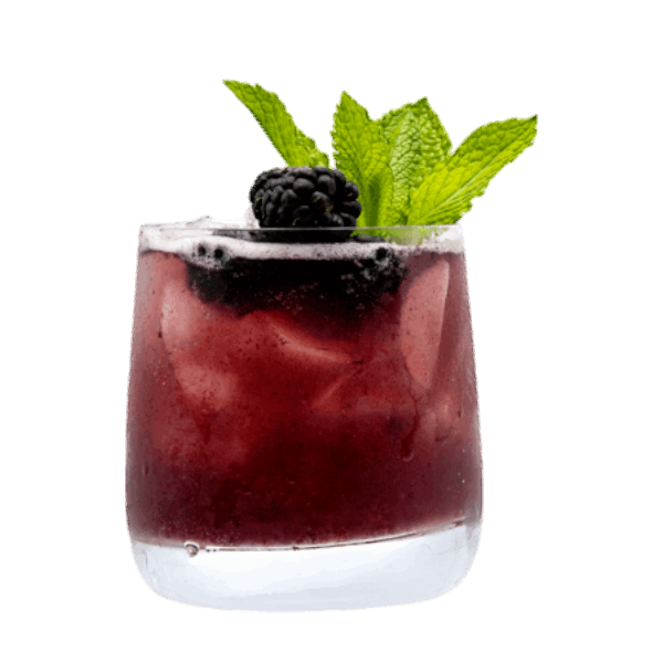 Blackberry Ginger Zip
