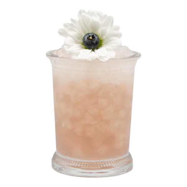 Blueberry Daisy