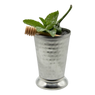Hot Honey Julep