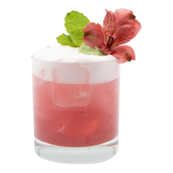 Hibiscus sans culpabilité aigre