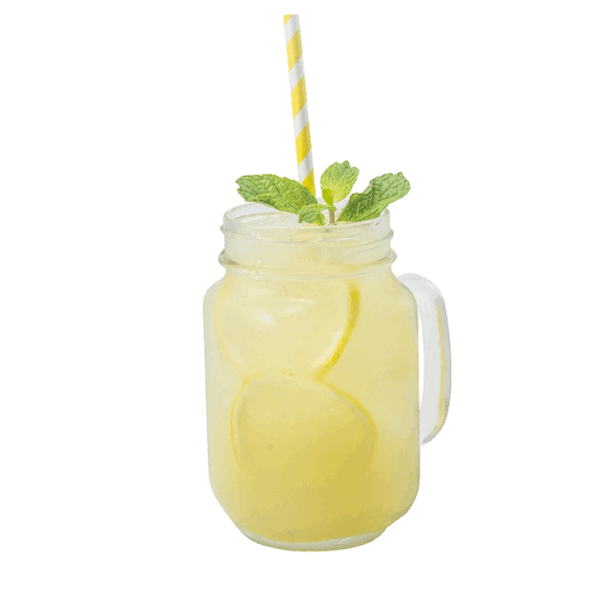 Honey Spiced Mojito