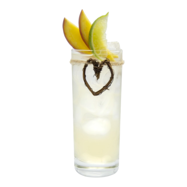 Two To Mango Mocktail