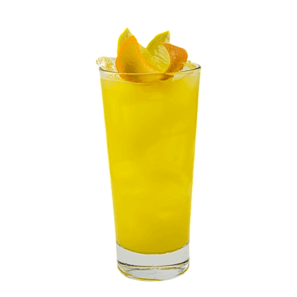 Passion Fruit Citrus Splash