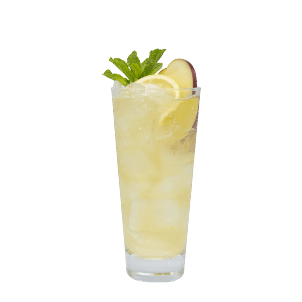 Apple Cider Orchard
