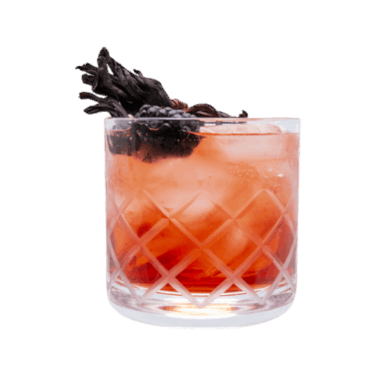 Hibiscus Spritz