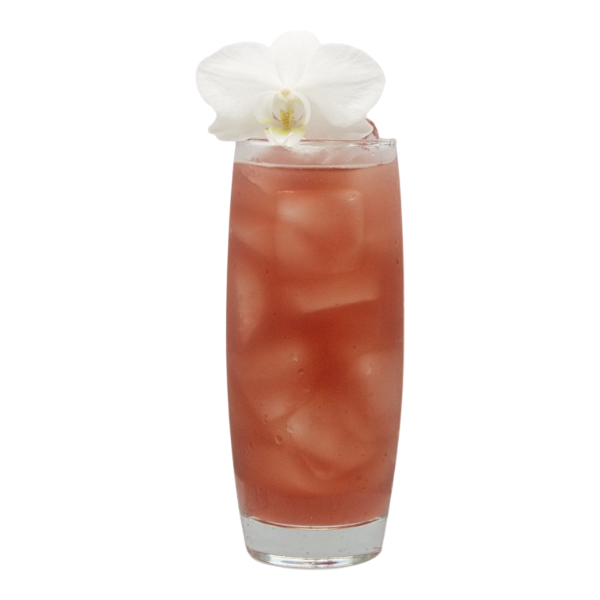 Cherry Blossom Palmer