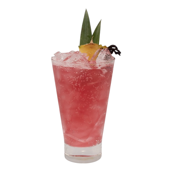 Glacière pour la journée à la plage