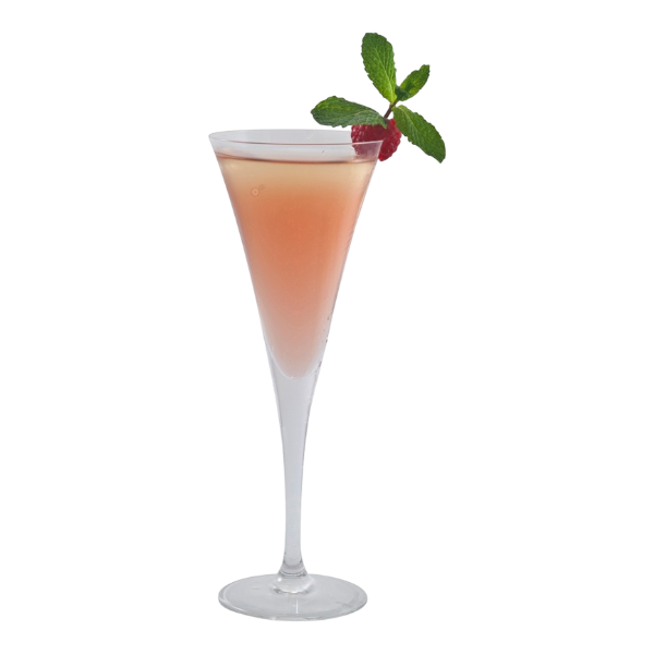 Springtime Mimosa