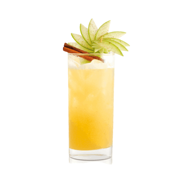 Iced Honey Pumpkin Cider