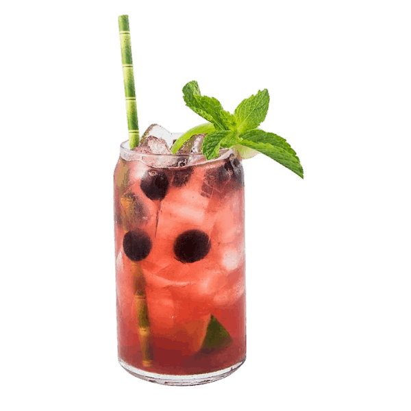 Cranberry Apple Mojito