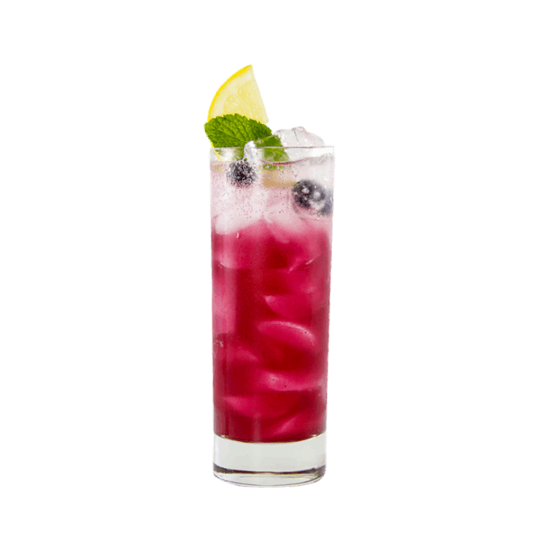 Blueberry Mojito