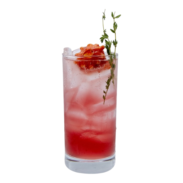 Jamaica Shrub