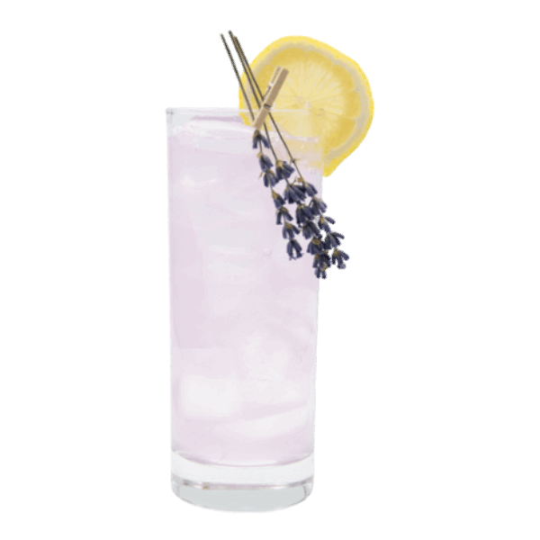 Lavender Gin Fizz