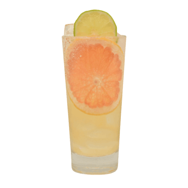 Fresh Melon Paloma