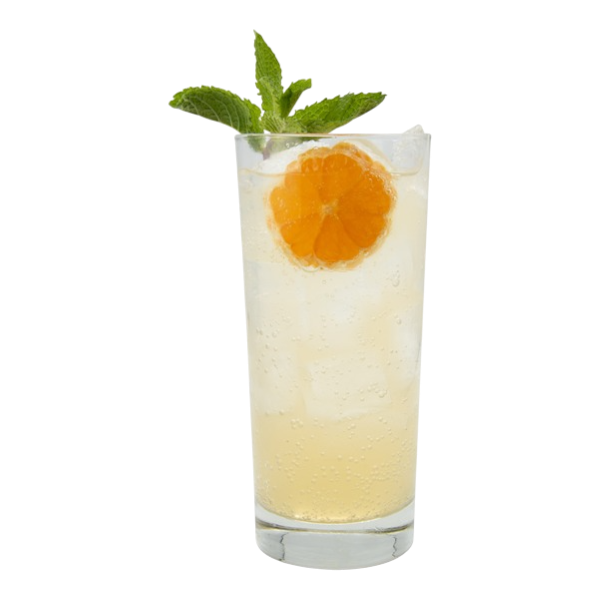 Orange Tangerine Refresher