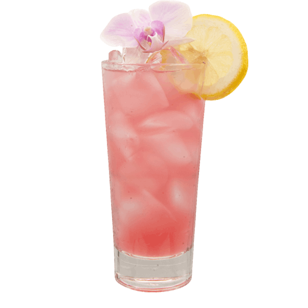 Spiked Hibiscus Lemonade