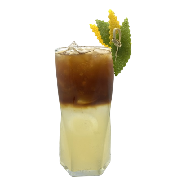 Mango Honey Tonic