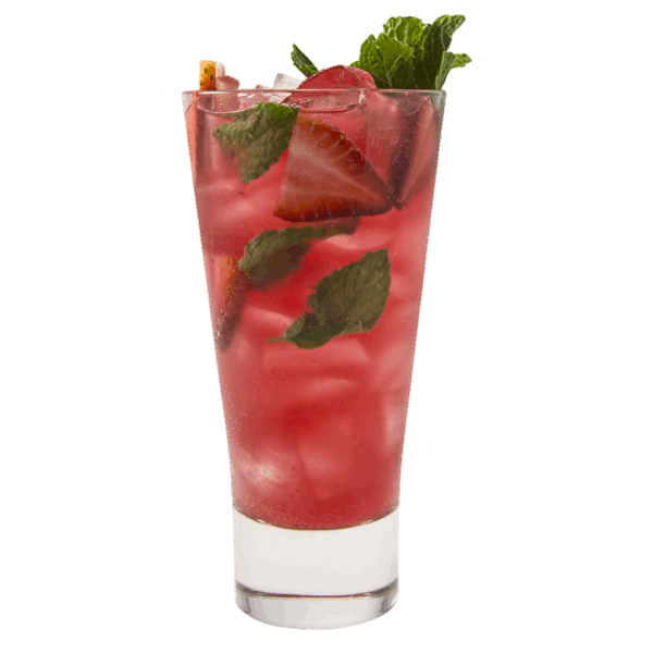 Watermelon & Strawberry Mint Soda