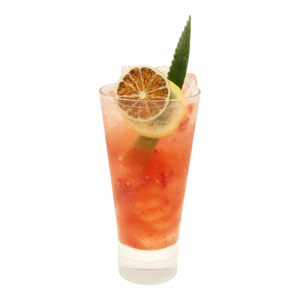 Sparkling Pineapple Berry Refresher