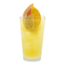 Tropical Fruit Juice Refresher