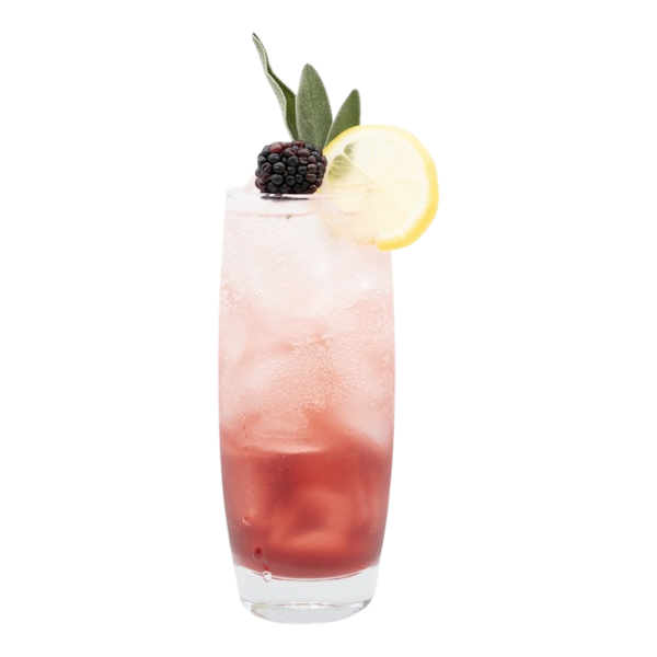 Blackberry Sage Soda