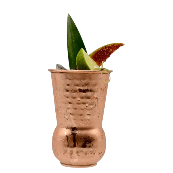 Cocktail sans alcool Shotgun Snap