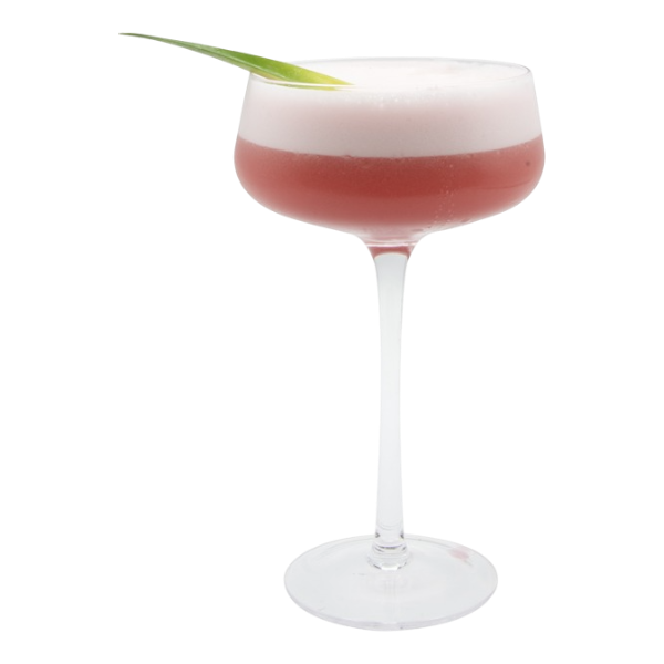 Fleur d'hibiscus tropicale