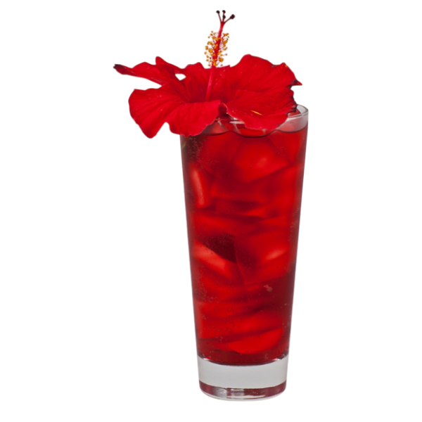 Honey Hibiscus Lemonade