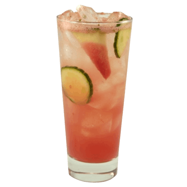 Watermelon Cucumber Gin Spritzer