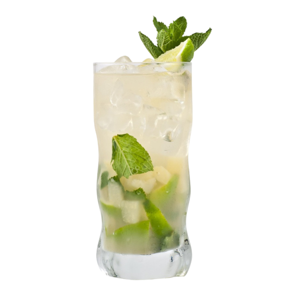 Sparkling Citrus Agua Fresca
