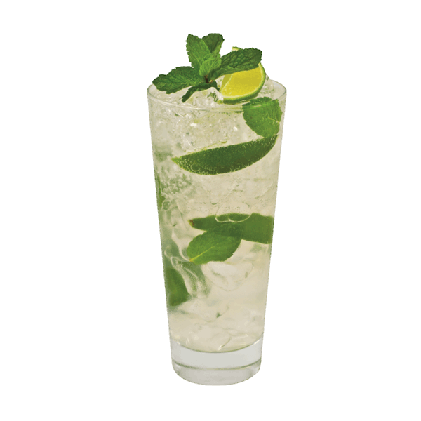 Citrus Mojito