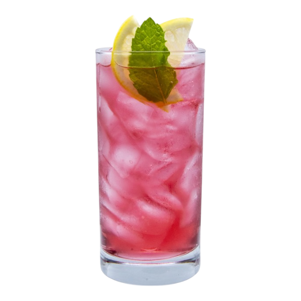 Hibiscus Vanilla Italian Soda