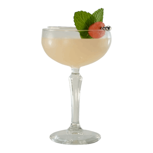 Watermelon Elderflower Gimlet
