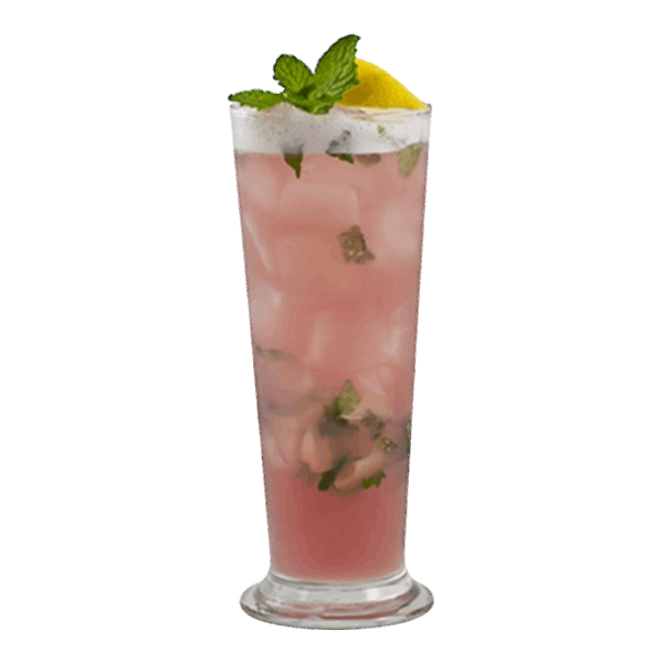 Raspberry French Press