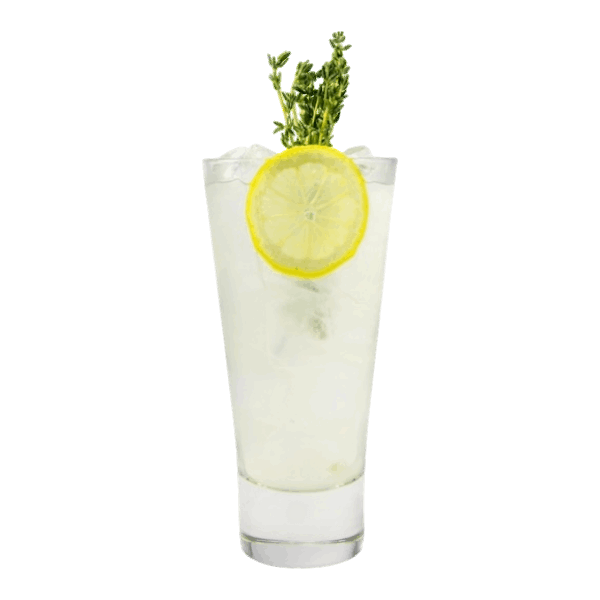 Autumn Citrus Fizz
