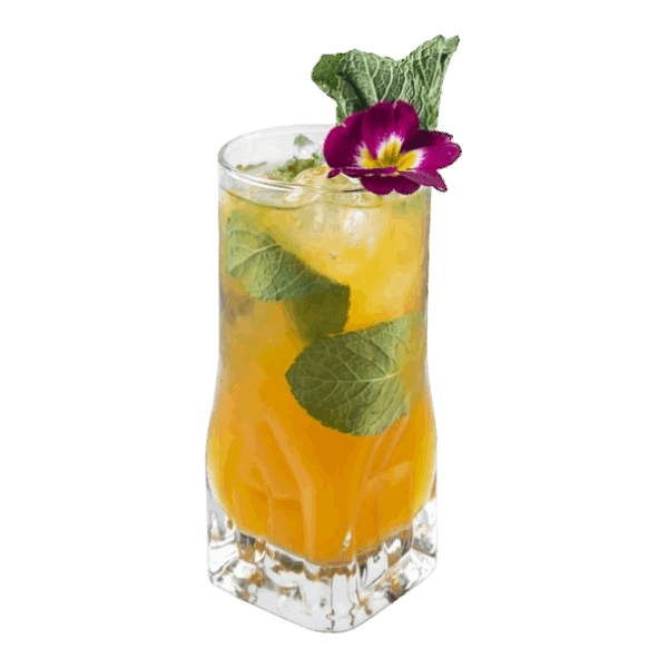 Virgin Apricot Mojito