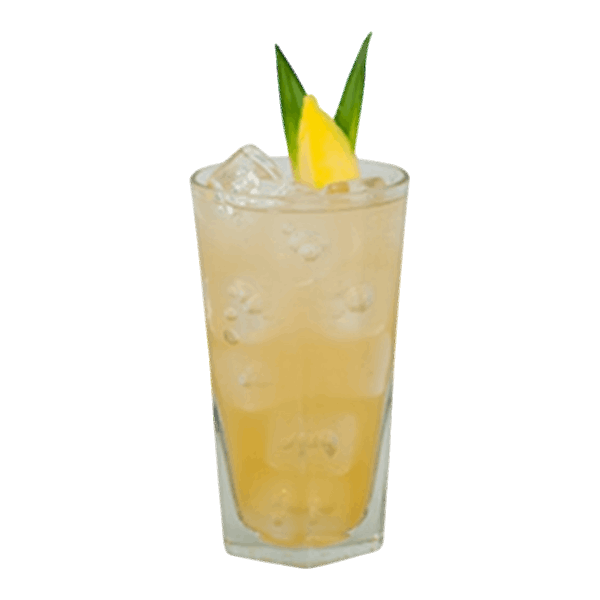 Pineapple Ginger Flip
