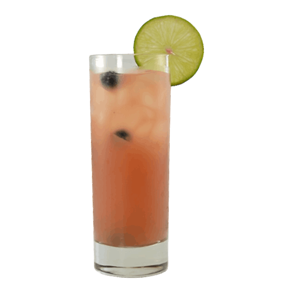 Orange Blueberry Sour