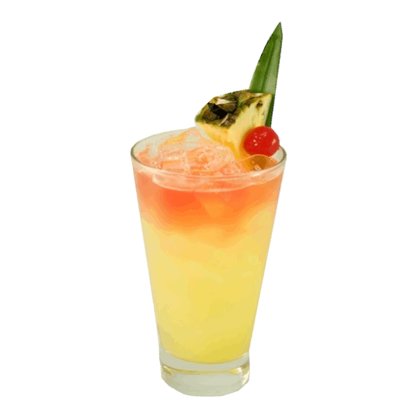 Hula Skirt