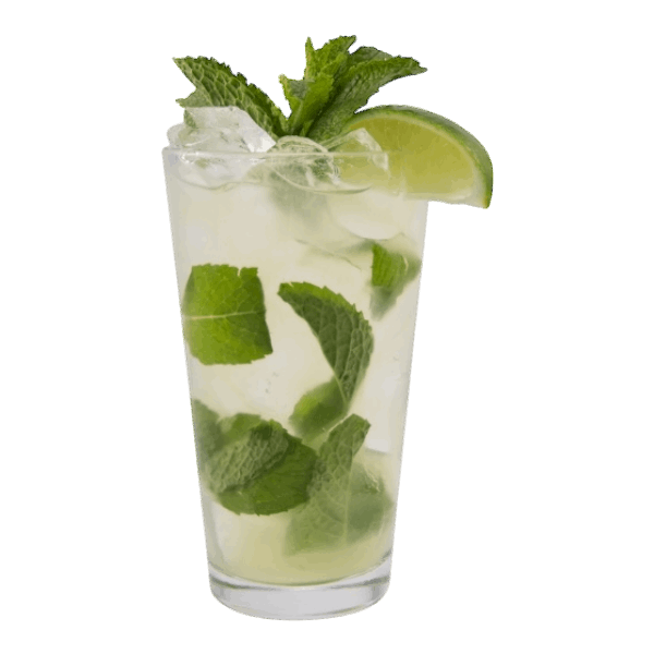 Tropical Passion Fruit Mojito