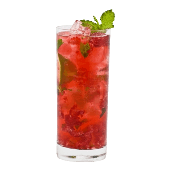 Raspberry Hibiscus Mojito