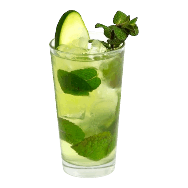 Detox Mojito water