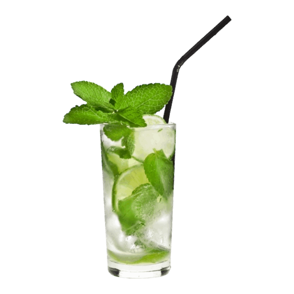 Mint Mojito