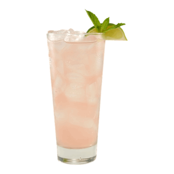 Skinny Raspberry Mojito