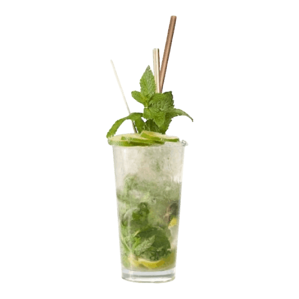Spiced Virgin Mojito